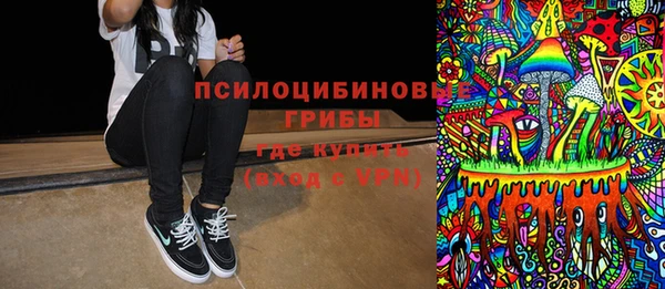 стафф Верхний Тагил