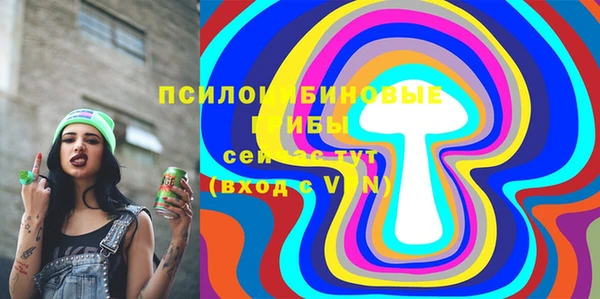 стафф Верхний Тагил