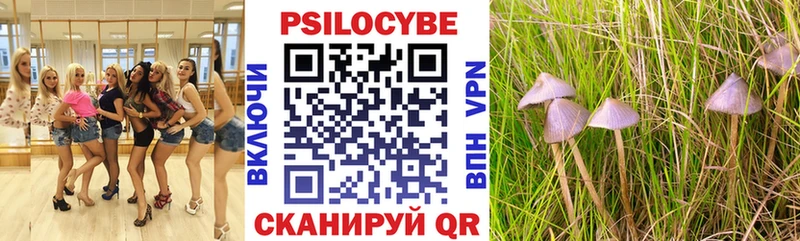 Купить закладки  Новоалтайск  Псилоцибиновые грибы Cubensis 
